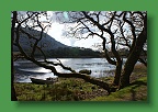 Connemara (230)